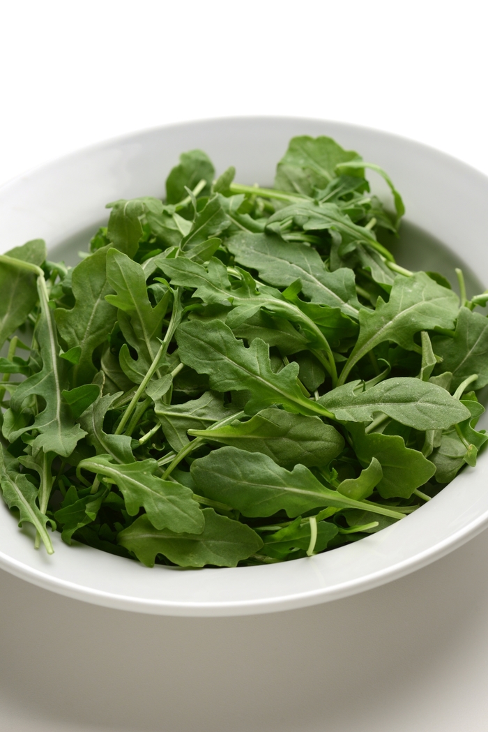 Arugula - Eruca sativa from Milmont Greenhouses