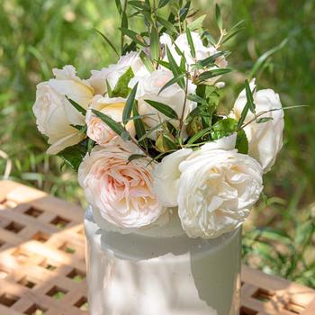 Rosa - 'Top Cream&trade;' Rose